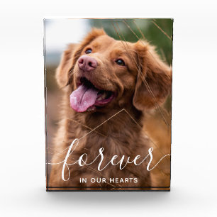 Forever in our Hearts Pet Memorial Dog Photo Block