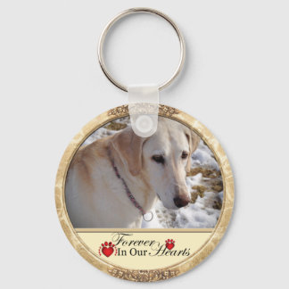 Forever in Our Hearts Pet Memorial Key Ring