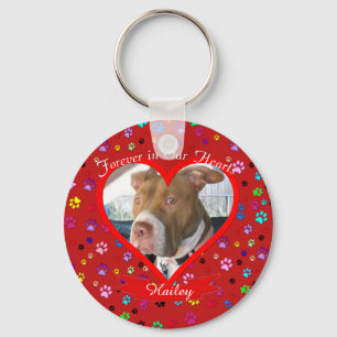 Forever In Our Hearts Pet Memorial Key Ring