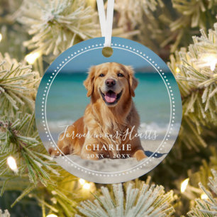Forever in our Hearts Pet Memorial Name Photo Metal Tree Decoration