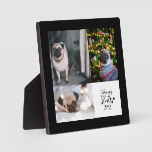Forever in our Hearts   Pet Memorial Photo Collage Plaque