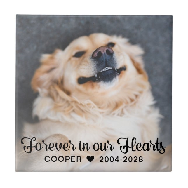 Forever in our Hearts Pet Memorial Photo Plaque Tile (Front)