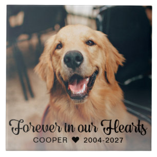 Forever in our Hearts Pet Memorial Photo Plaque Tile