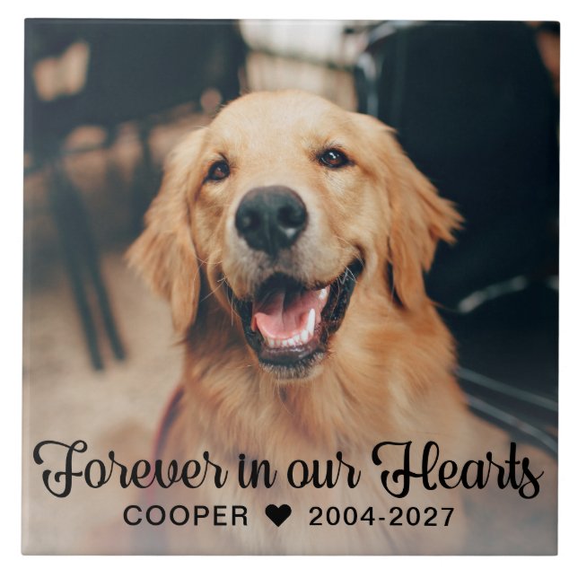 Forever in our Hearts Pet Memorial Photo Plaque Tile (Front)