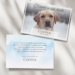 Forever in our hearts Pet memorial photo Thank You Card