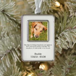 Forever in Our Hearts Pet Remembrance Keepsake Silver Plated Framed Ornament