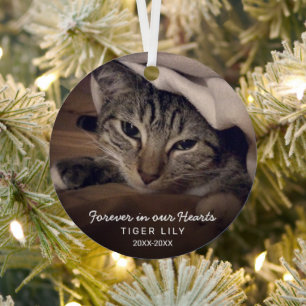 Forever in Our Hearts Photo Cat Pet Memorial Metal Tree Decoration