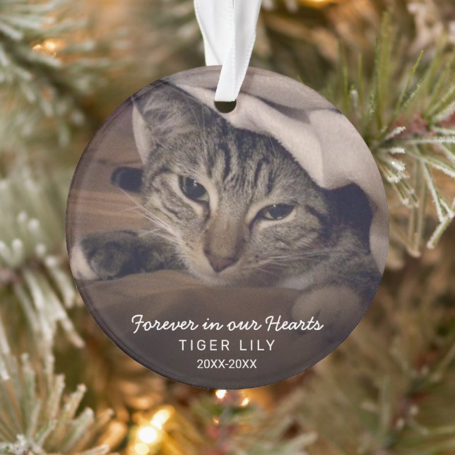Forever in Our Hearts Photo Cat Pet Memorial Ornament (Tree)