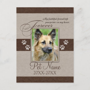 Forever Loved Pet Sympathy Announcement Postcard