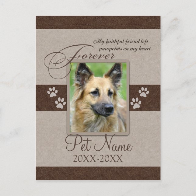 Forever Loved Pet Sympathy Announcement Postcard (Front)