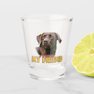 Forever My Friend Chocolate Labrador Dog Shot Glass