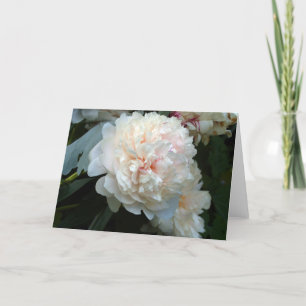 Forever Peony  Card