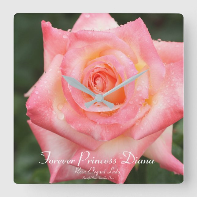 Forever Princess Diana：Rosa Elegant Lady Square Wall Clock (Front)