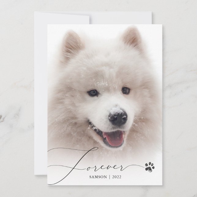 Forever Simple Script Pet Memorial Photo Thank You (Front)