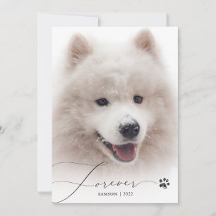 Forever Simple Script Pet Memorial Photo Thank You