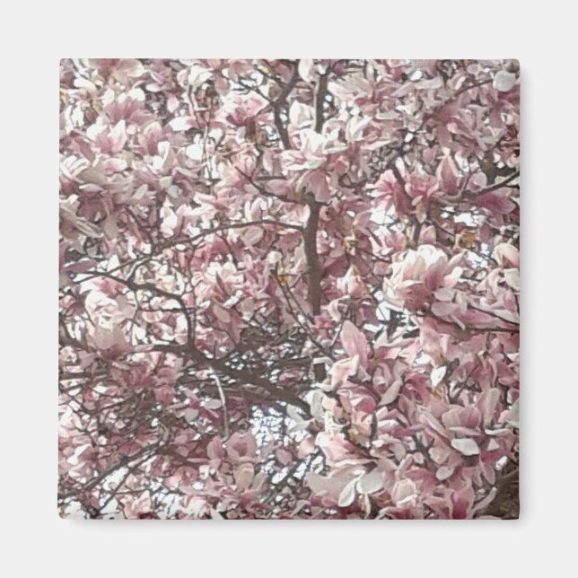 Forever Spring Magnolia Refrigerator Magnet (Front)