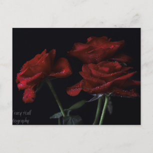 Forever Yours Postcard