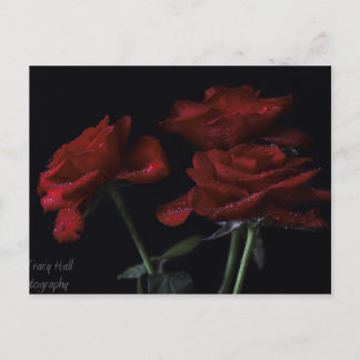 Forever Yours Postcard