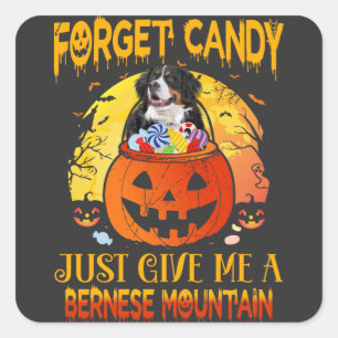 Forget Candy Give Me Bernese Mountain Halloween Square Sticker
