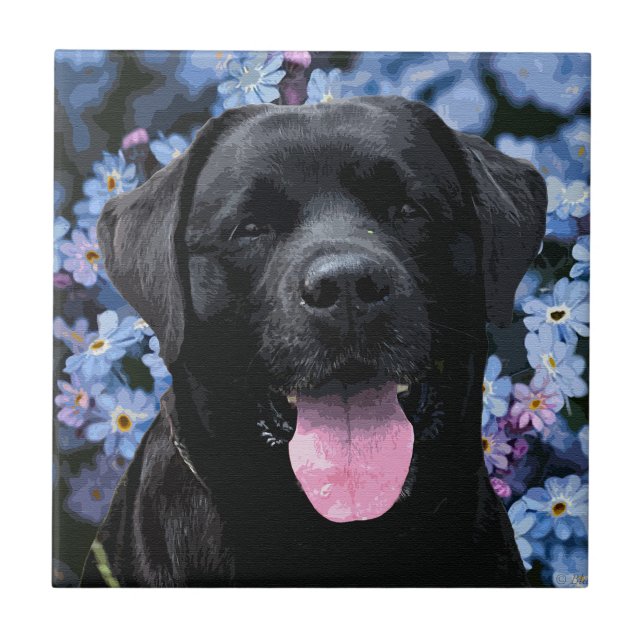Forget Me Knot - Black Labrador Tile (Front)