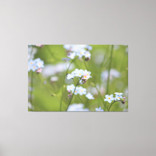Forget Me Knot Canvas Print