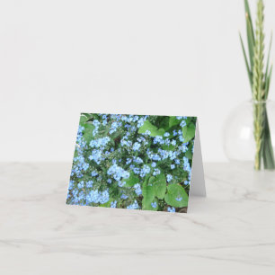 *Forget-Me-Not* Blank Notecards