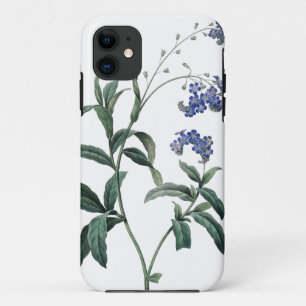 Forget-me-not botanical illustration of Redoute iPhone 11 Case
