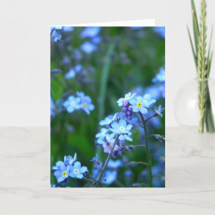 Forget-Me-Not Card