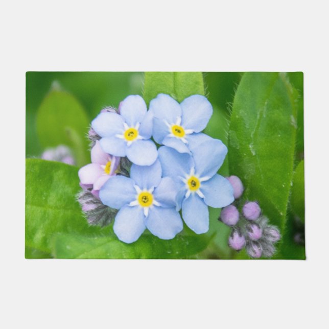 Forget-me-not, Door Mat (Front)