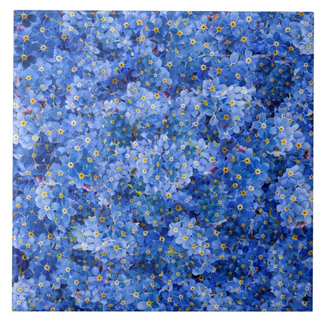 Forget Me Not Flower Pattern Tile (Front)