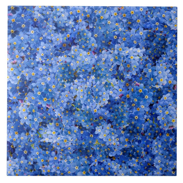 Forget Me Not Flower Pattern Tile (Front)