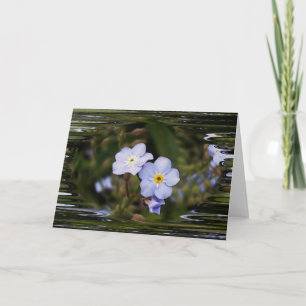 Forget me not flowers card