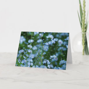 Forget-me-not Flowers Card