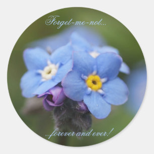 Forget-me-not forever and ever! classic round sticker