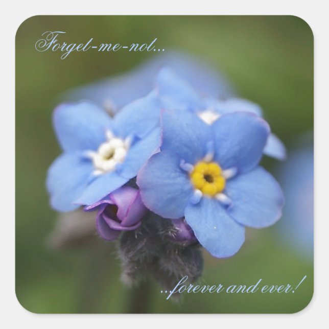 Forget-me-not forever and ever! square sticker (Front)