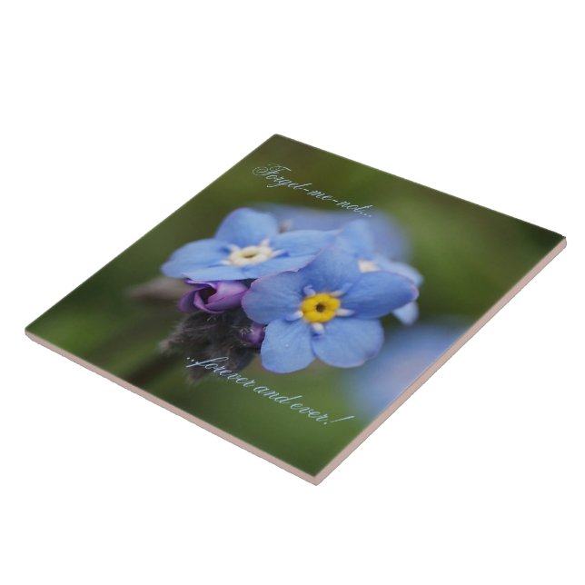 Forget-me-not forever and ever tile (Side)