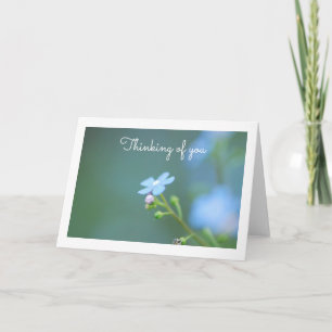 Forget Me Not Greeting Card