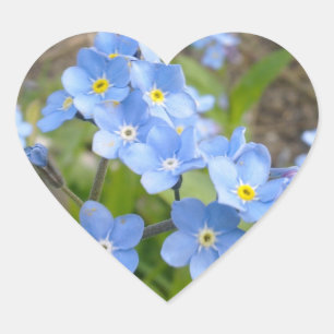Forget Me Not Heart Sticker