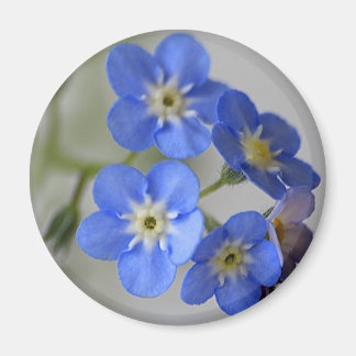 Forget Me Not Magnet