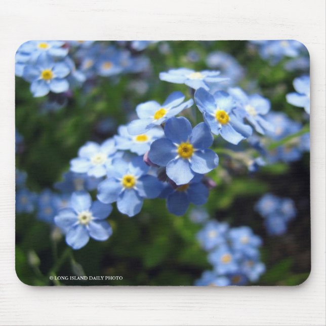 Forget-Me-Not Mouse Mat (Front)