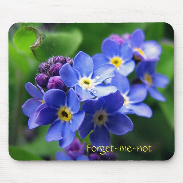 Forget-me-not Mouse Mat (Front)