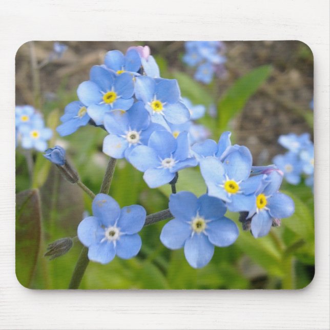 Forget Me Not Mousepad (Front)
