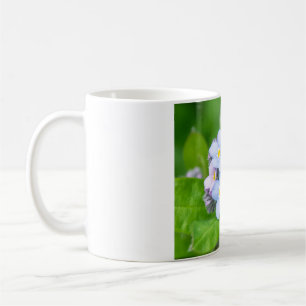 Forget-me-not, Mug