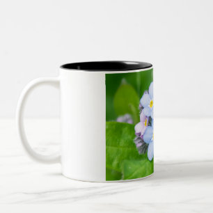 Forget-me-not, Mug