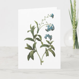 forget me-not(Myosotis scorpioides) by Redouté Card