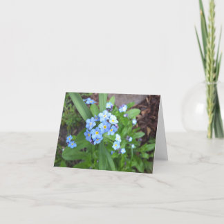 Forget Me Not Note Card