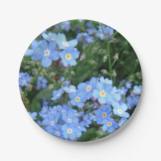 *Forget-Me-Not* Party Plates