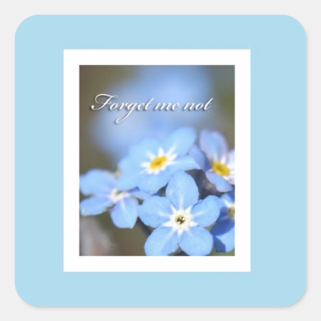 Forget-Me-Not photo on blue Square Sticker (Front)