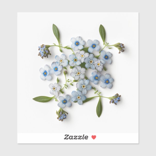 Forget-Me-Not Pressed Flowers (Sheet)