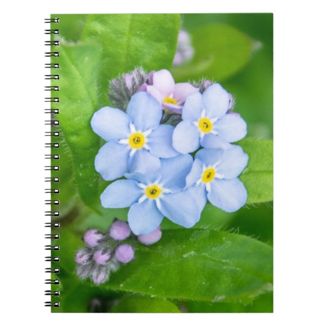 Forget-me-not, Spiral Photo Notebook (Front)